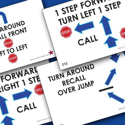 Rallylydnadsskyltar FCI Nya skyltarna 2024