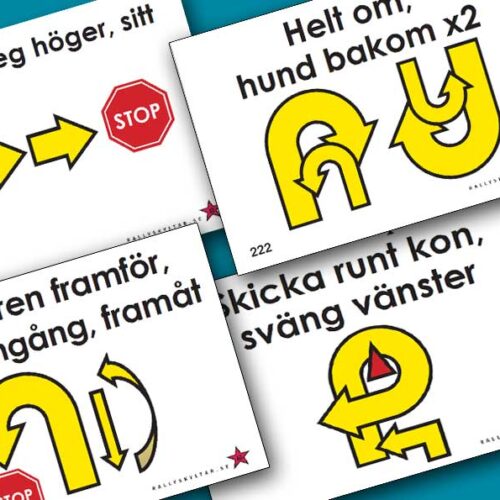 Rallylydnadsskyltar Nya skyltarna 2023