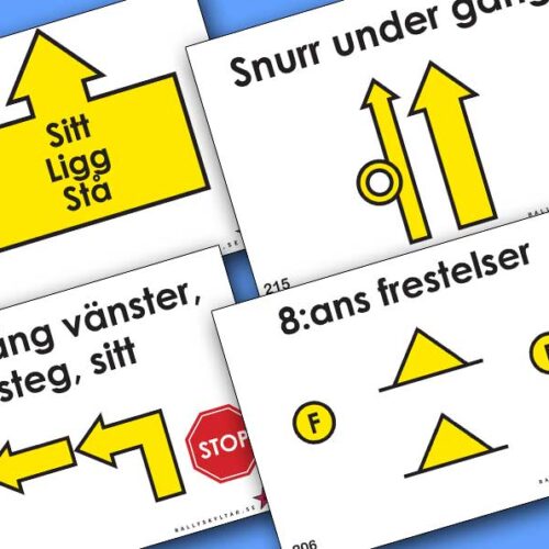 Rallylydnadsskyltar Fortsättningsklass