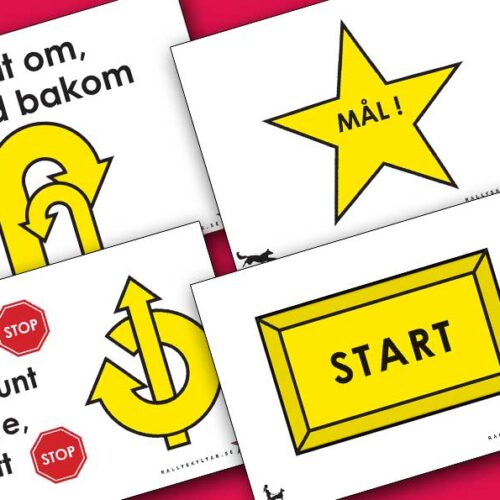 Nybörjarklass Rallylydnad