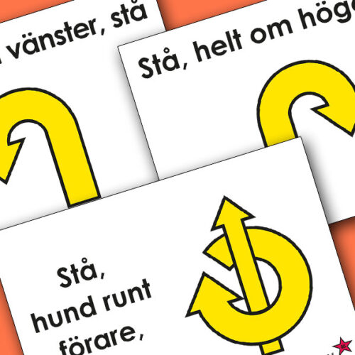 Avancerad klass Nya skyltarna 2027