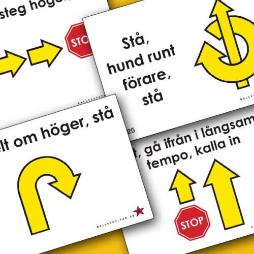 Rallylydnadsskyltar Avancerad klass 2027