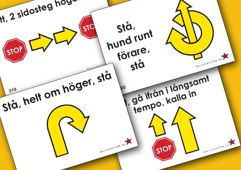 Rallylydnadsskyltar Avancerad klass 2027