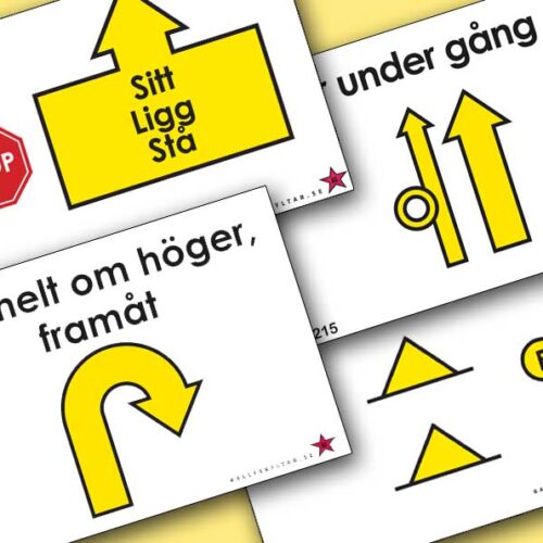 Fortsättningsklass Rallylydnad 2027