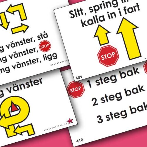 Rallylydnadsskyltar Mästarklass 2027