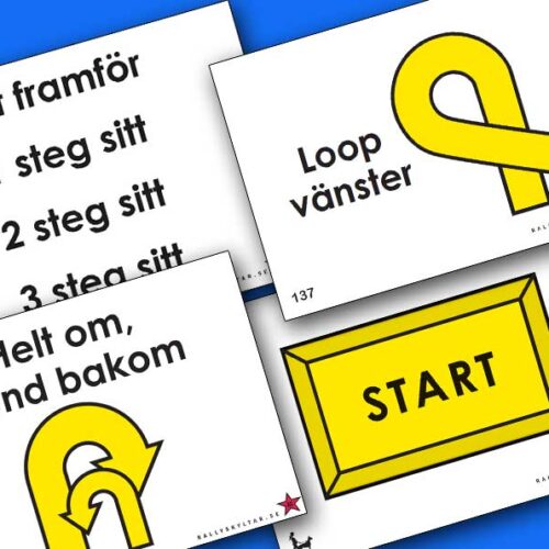 Nybörjarklass Rallylydnad 2027